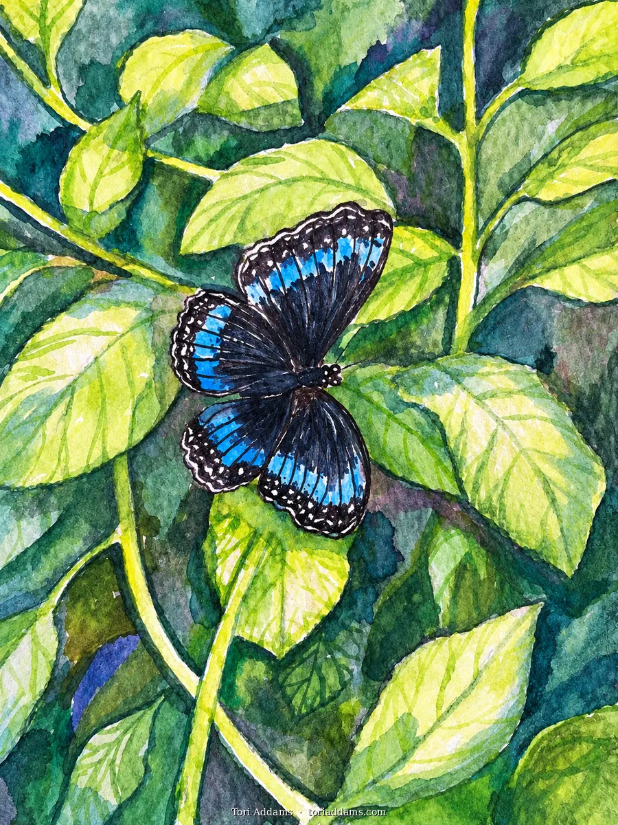 A black-and-blue butterfly among vibrant green leaves